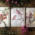 Botanical Cards - Studio Nikulinsky